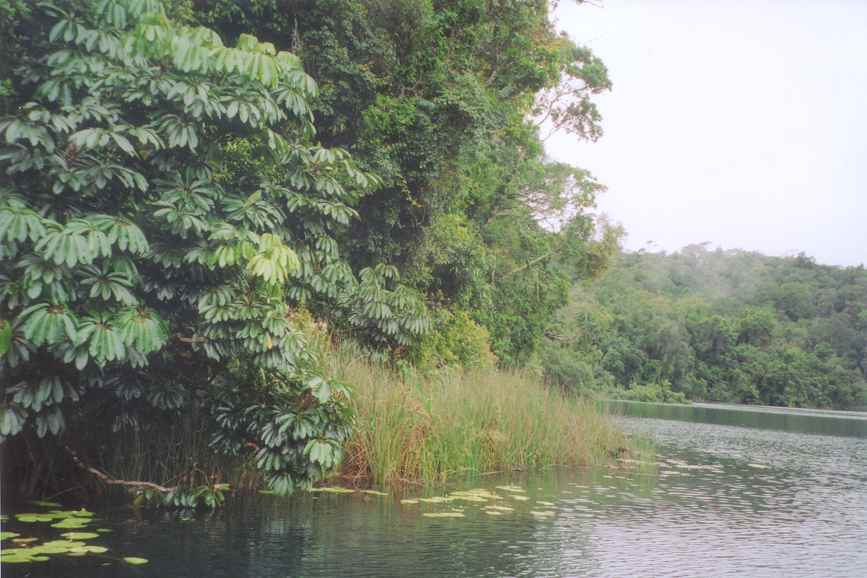 Lake Barrine