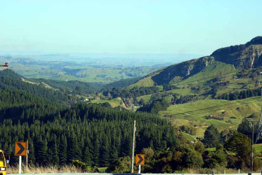 Hawke's Bay